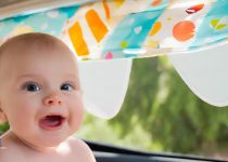 Best Baby Sun Shade Car