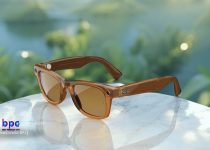 Smart Glasses