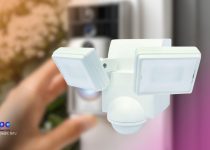 Best Motion Detectors