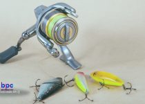 Spinning Reels