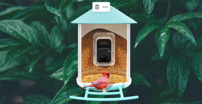Top 5 Best Smart Bird Feeders